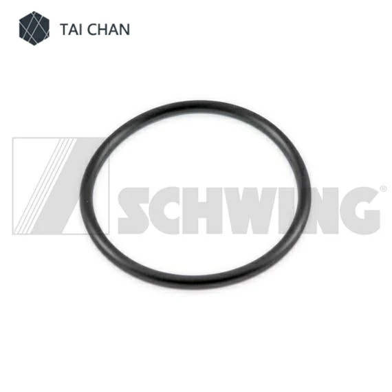 O-RING 60X4 OEM 10000763