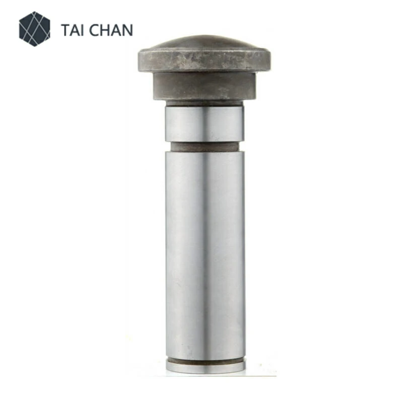 Schwing hydraulic piston bolt