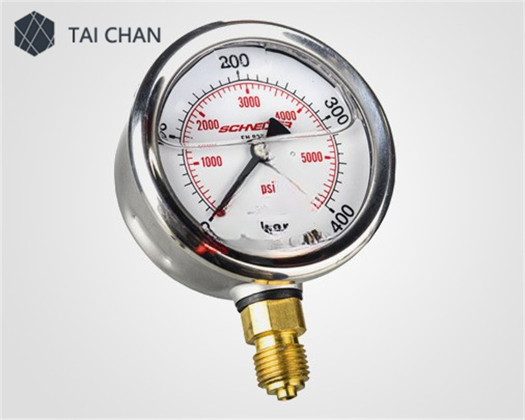 Putzmeister 250 bar pressure gauge