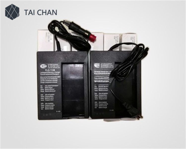 Putzmeister FLG110B battery charger
