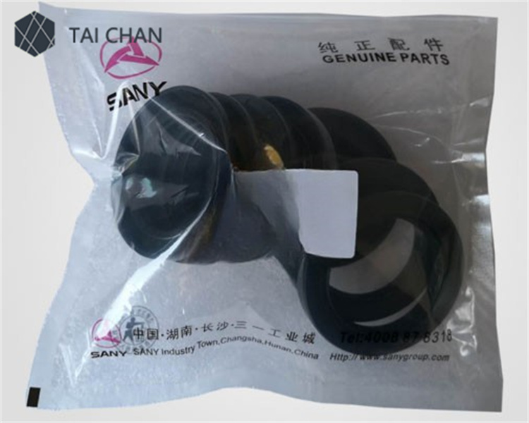 SANY A230101000034 seal ring