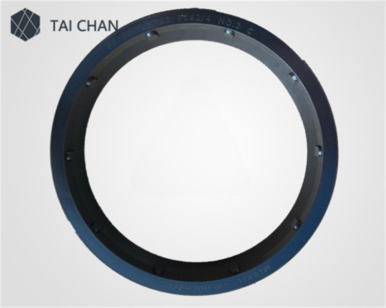 Schwing 10002329 seal ring