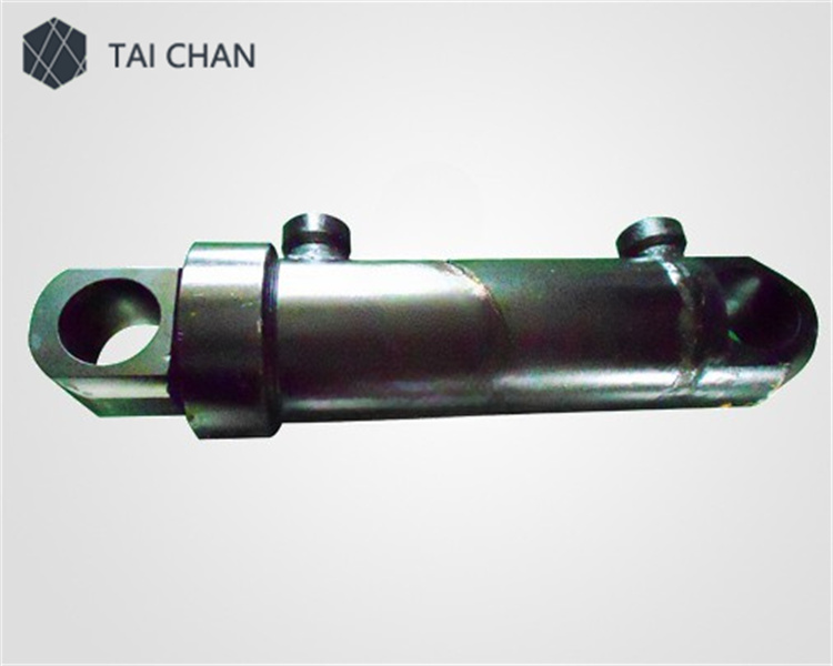 Schwing plunger cylinder assembly