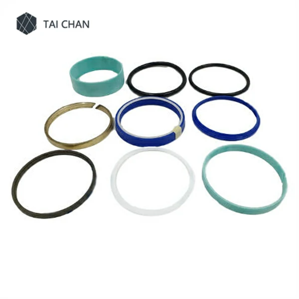 Set of seals for the plunger cylinder 160-80 2 outlets 247093003 (247093TM)