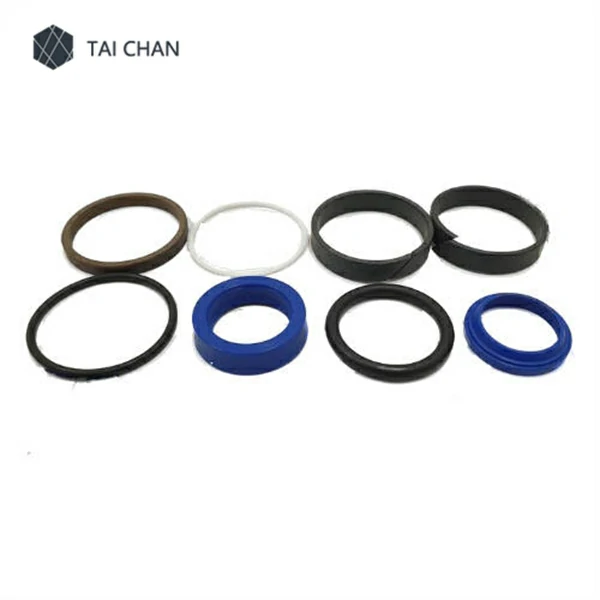 Set of seals for the plunger hydraulic cylinder 160-50 / 28 2 outlets 086677004