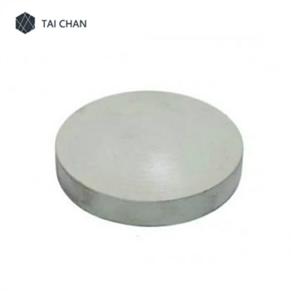 Putzmeister Wear Plate Circle 259521000 Ring